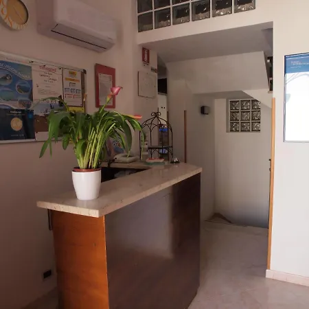 Basement Guest house